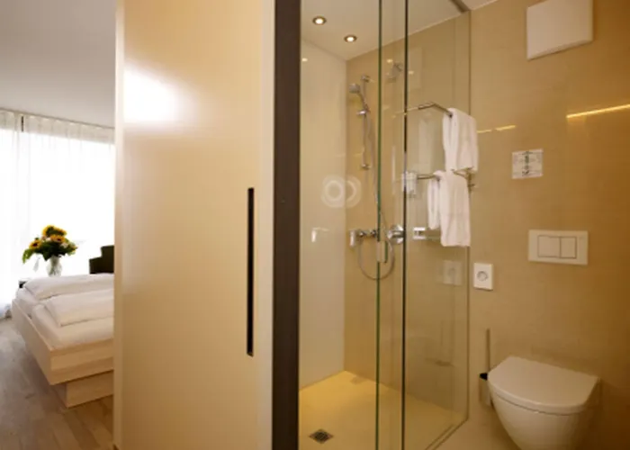 Otel Weisses Kreuz 4*